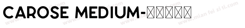 CAROSE Medium字体转换